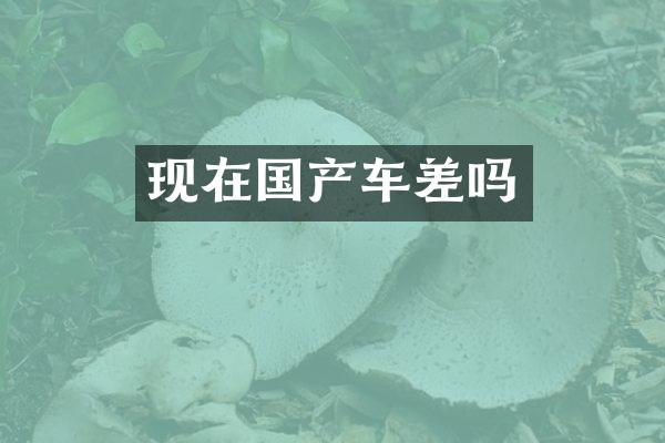现在国产车差吗