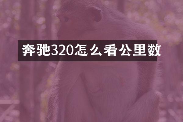 奔驰320怎么看公里数