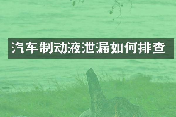 汽车制动液泄漏如何排查