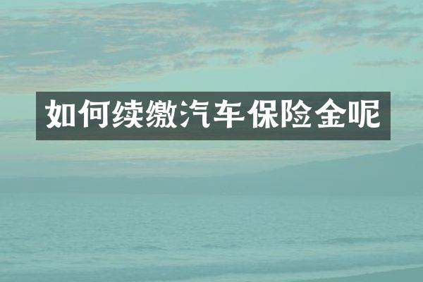 如何续缴汽车保险金呢