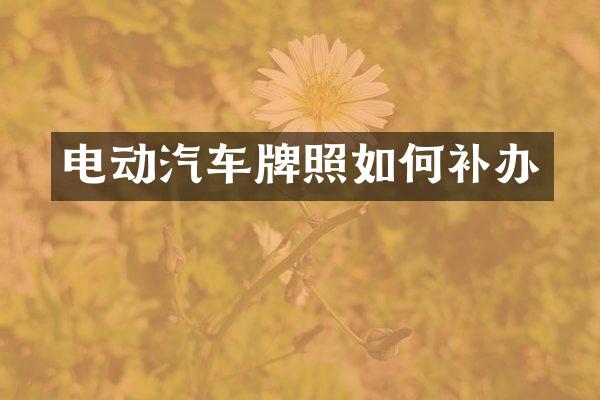 电动汽车牌照如何补办