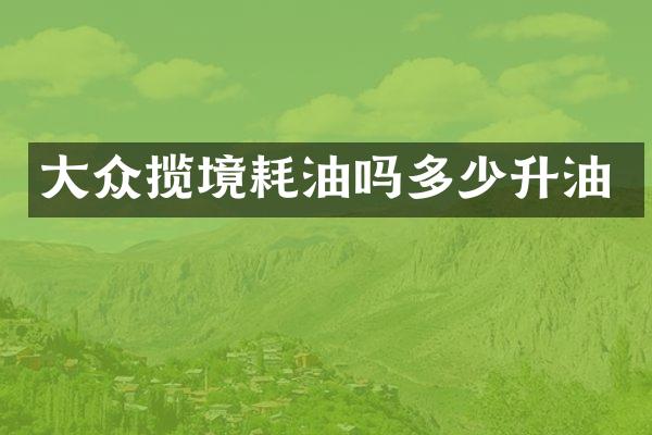 大众揽境耗油吗多少升油