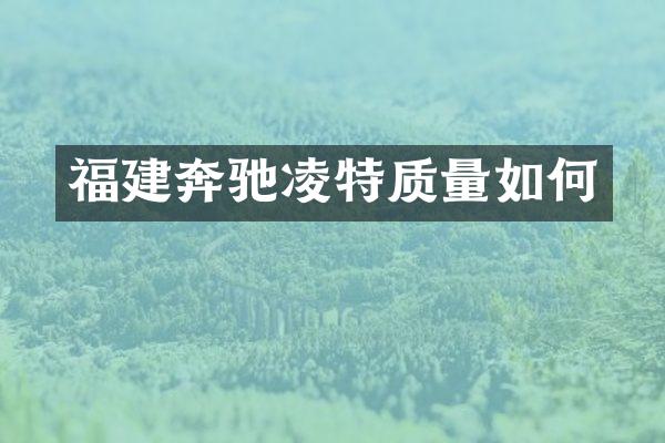 福建奔驰凌特质量如何