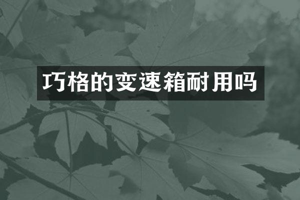 巧格的变速箱耐用吗