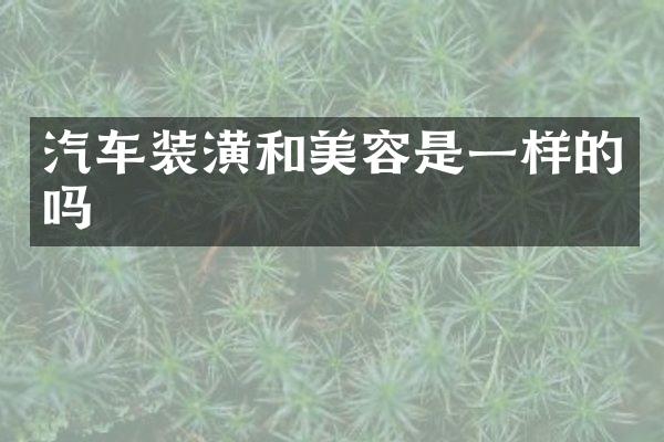 汽车装潢和美容是一样的吗