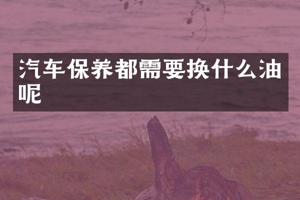 汽车保养都需要换什么油呢
