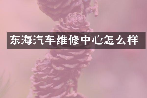 东海汽车维修中心怎么样