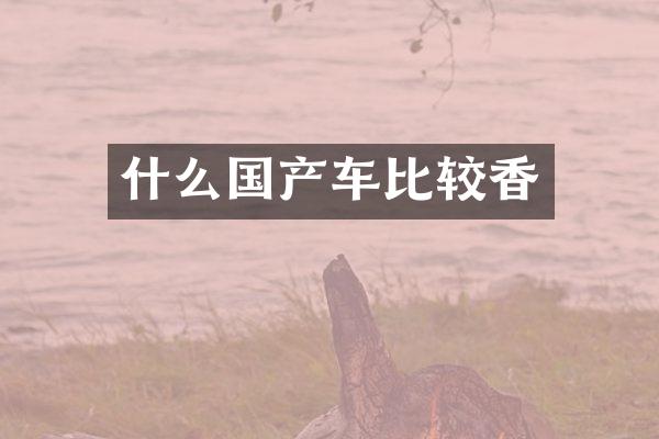 什么国产车比较香