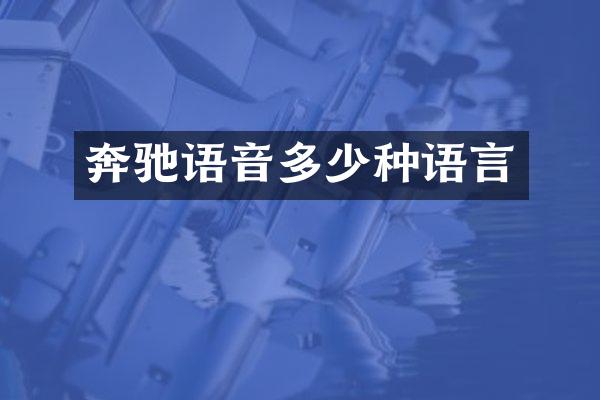 奔驰语音多少种语言