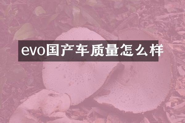 evo国产车质量怎么样