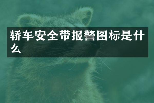 轿车安全带报警图标是什么