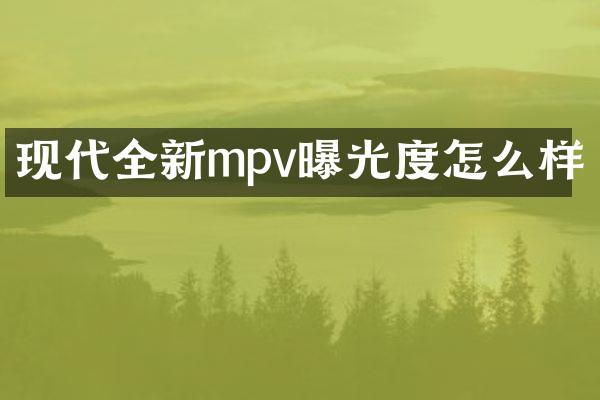 现代全新mpv曝光度怎么样