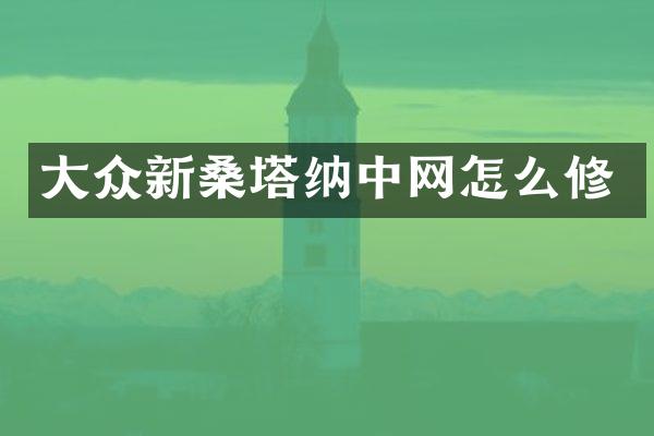 大众新桑塔纳中网怎么修