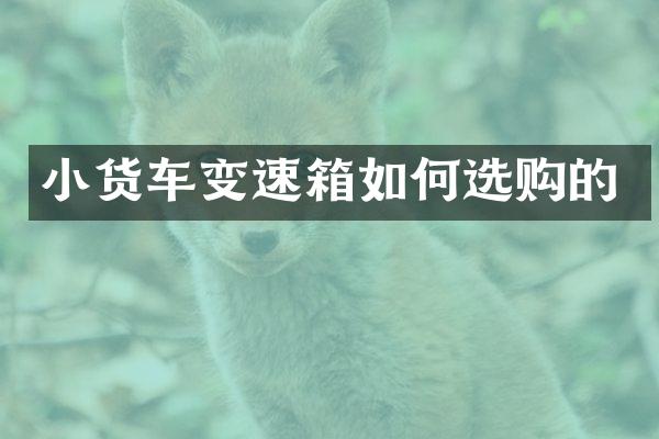小货车变速箱如何选购的