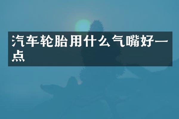 汽车轮胎用什么气嘴好一点