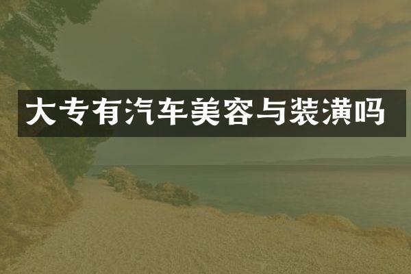 大专有汽车美容与装潢吗