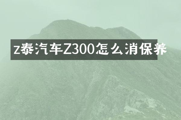 z泰汽车Z300怎么消保养