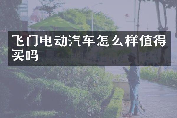 飞门电动汽车怎么样值得买吗