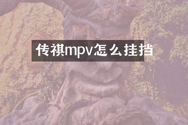 传祺mpv怎么挂挡
