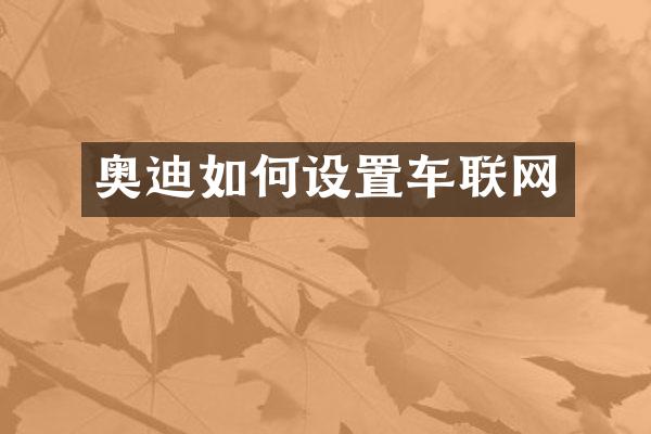 奥迪如何设置车联网