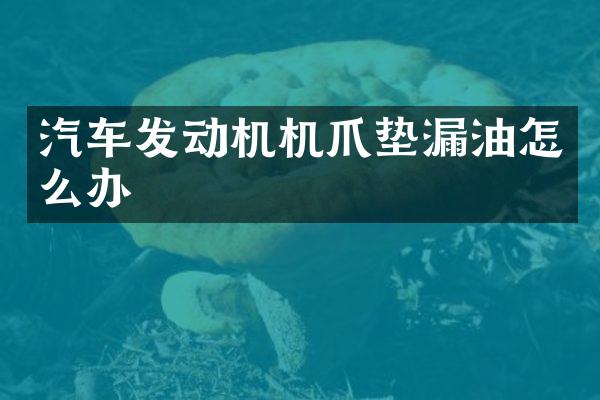 汽车发动机机爪垫漏油怎么办