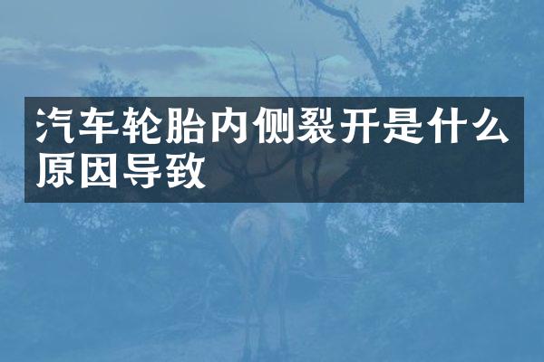 汽车轮胎内侧裂开是什么原因导致