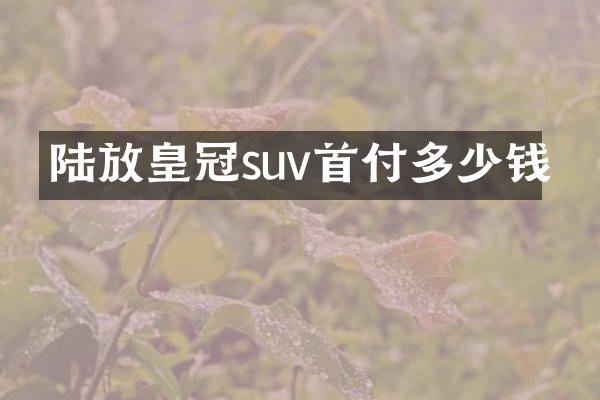陆放皇冠suv首付多少钱