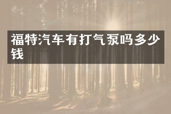 福特汽车有打气泵吗多少钱