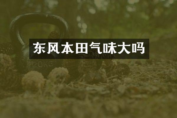 东风本田气味大吗