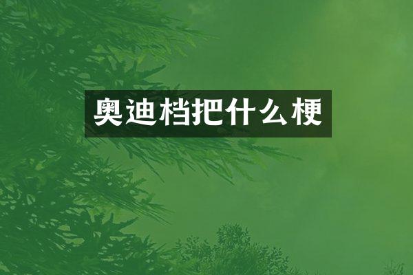 奥迪档把什么梗