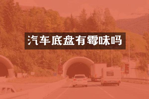 汽车底盘有霉味吗