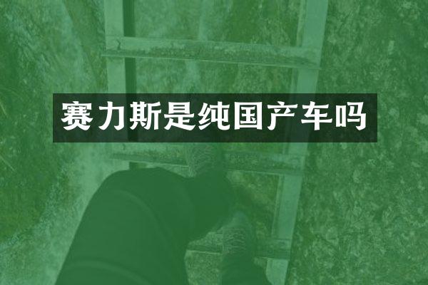 赛力斯是纯国产车吗