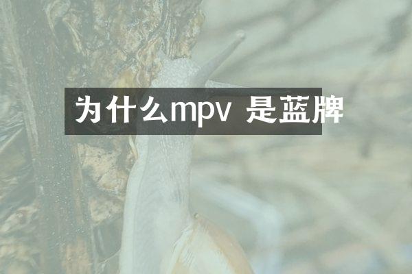 为什么mpv 是蓝牌