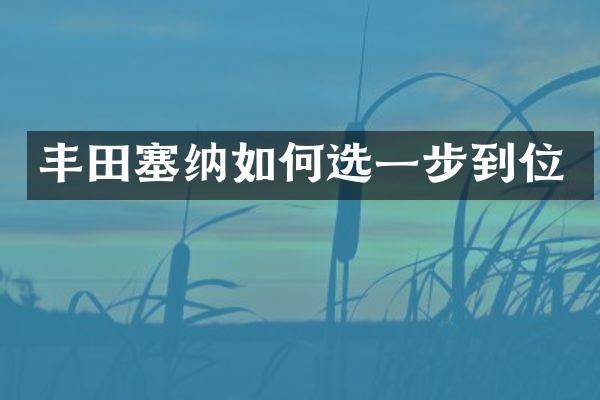 丰田塞纳如何选一步到位