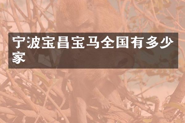 宁波宝昌宝马全国有多少家