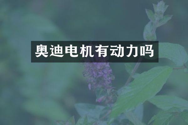 奥迪电机有动力吗