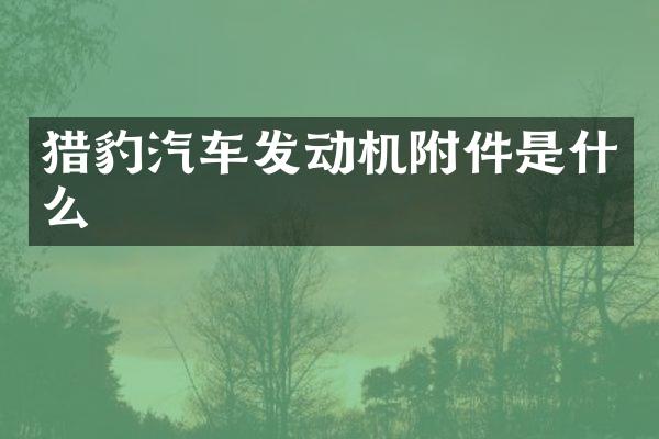 猎豹汽车发动机附件是什么
