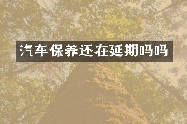 汽车保养还在延期吗吗