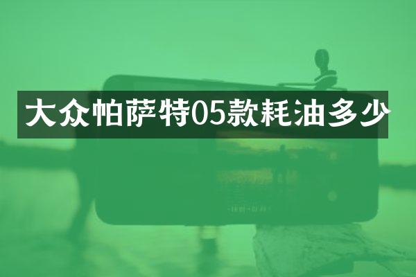 大众帕萨特05款耗油多少