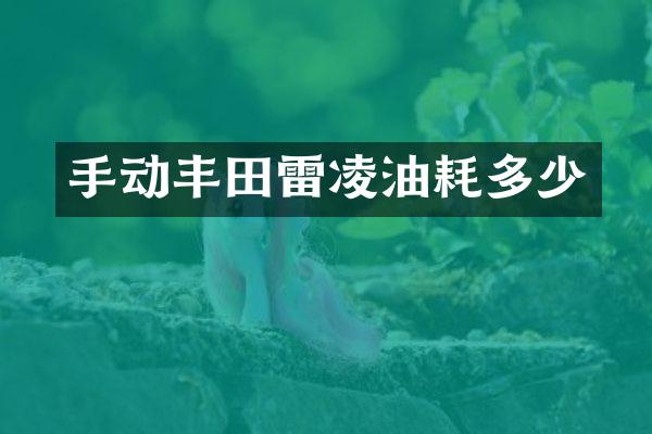 手动丰田雷凌油耗多少