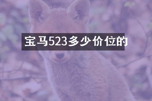 宝马523多少价位的