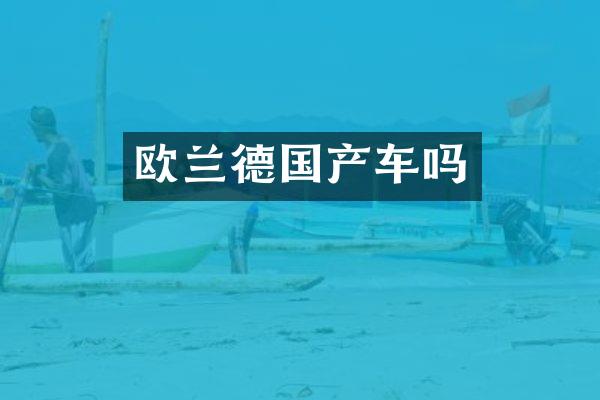 欧兰德国产车吗