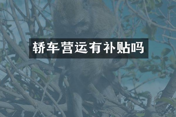 轿车营运有补贴吗