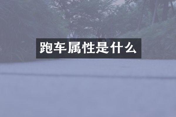 跑车属性是什么