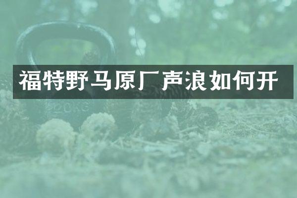福特野马原厂声浪如何开