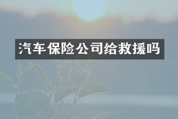 汽车保险公司给救援吗