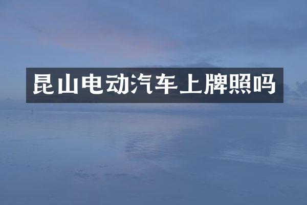 昆山电动汽车上牌照吗