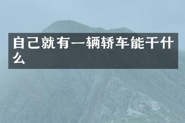 自己就有一辆轿车能干什么