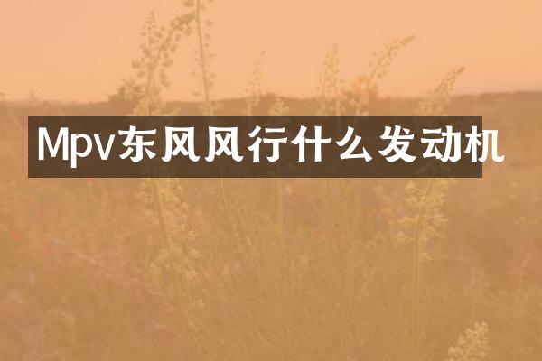 Mpv东风风行什么发动机