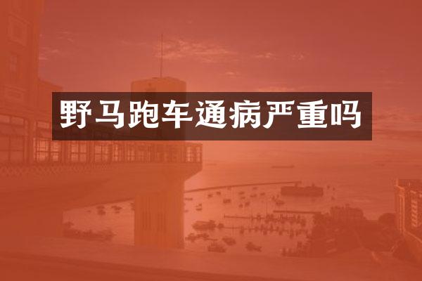 野马跑车通病严重吗